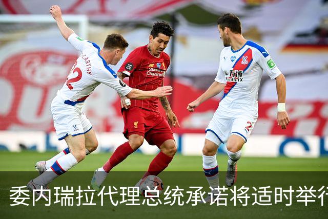 委内瑞拉代理总统承诺将适时举行选举